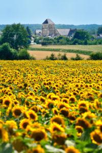 Paysage de Broc