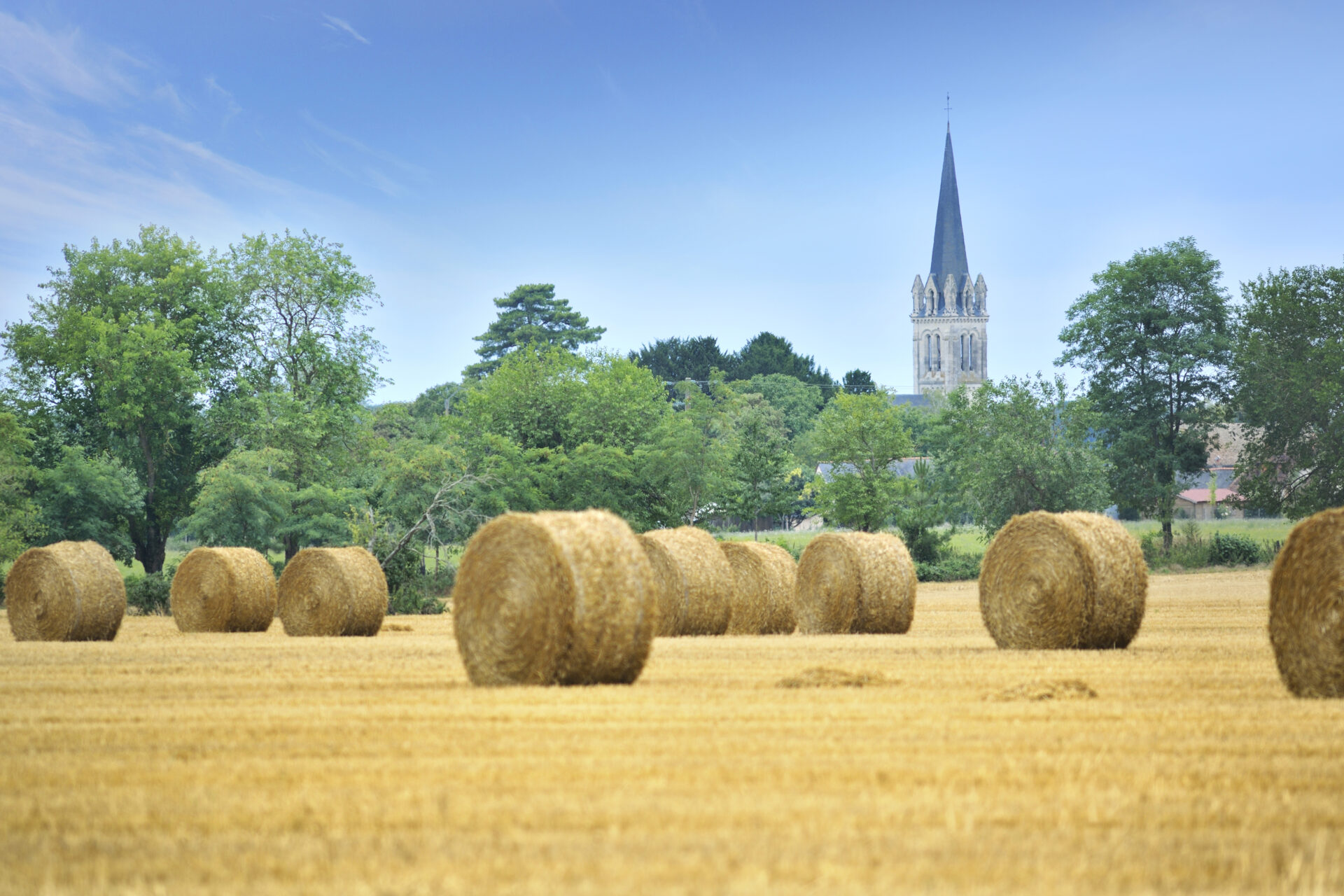 Lire la suite à propos de l’article Un été à Noyant-Villages