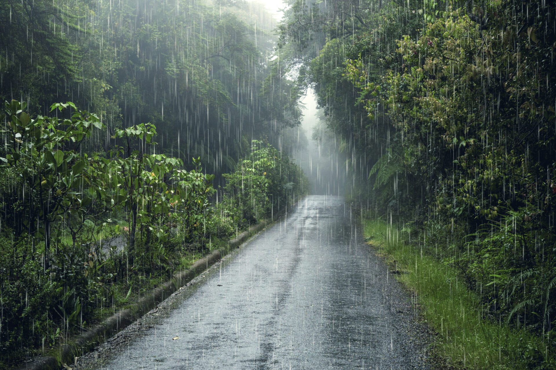 Lire la suite à propos de l’article Vigilance orange « pluie et inondations »